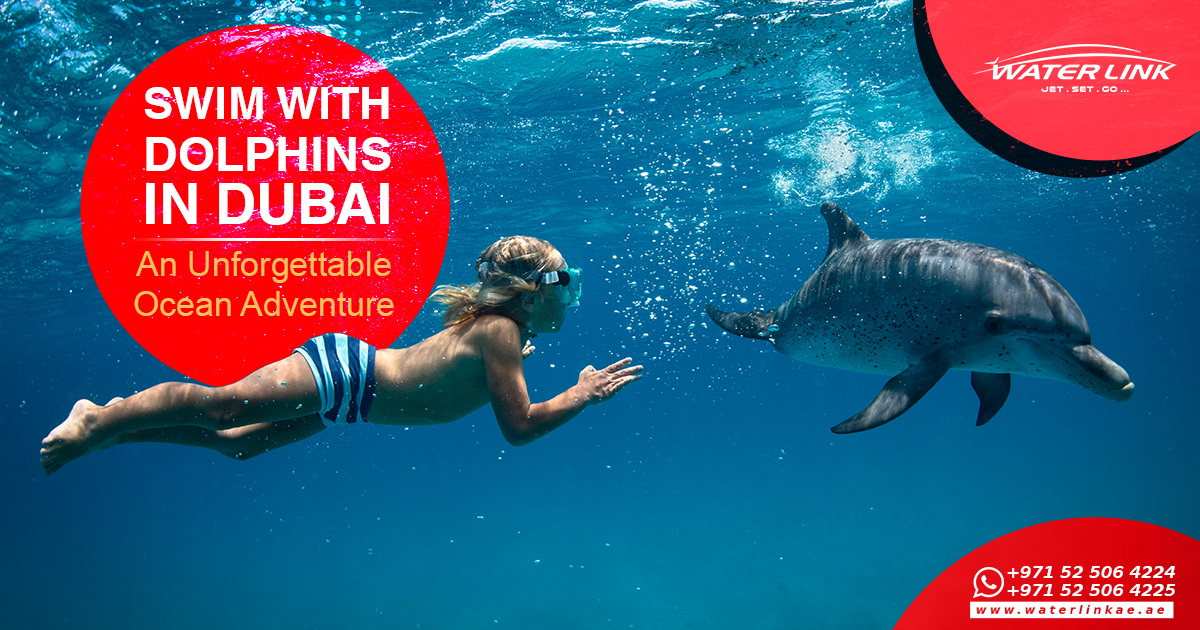 Swim with Dolphins in Dubai: An Unforgettable Ocean Adventure